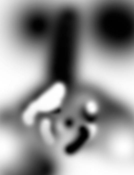 Photoshop打造颓废创意的金色鲜花人像海报