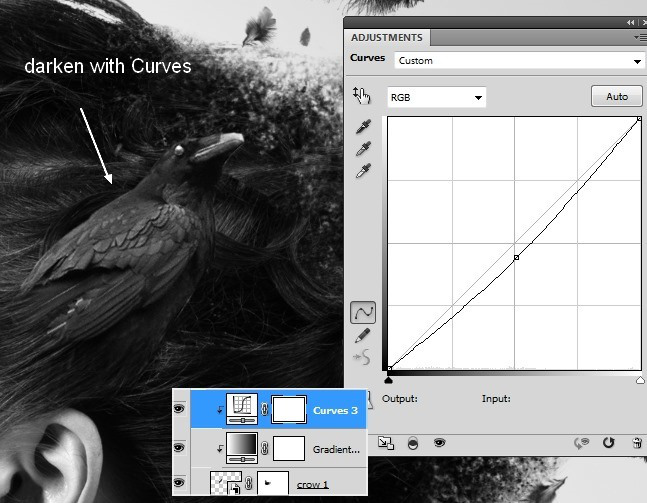 PS�ϳ���Ƭ��ɢ�ĺڰ׳�����Ůͷ��