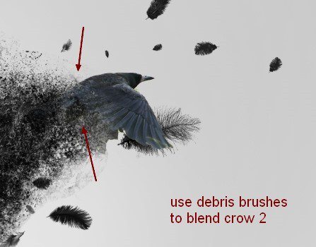 PS�ϳ���Ƭ��ɢ�ĺڰ׳�����Ůͷ��