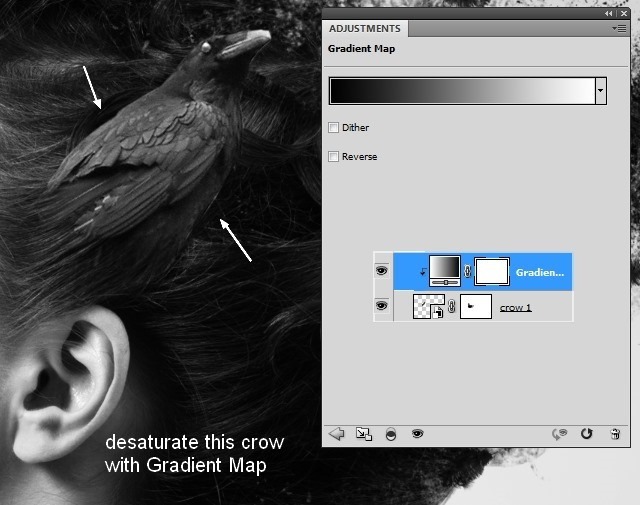 PS�ϳ���Ƭ��ɢ�ĺڰ׳�����Ůͷ��