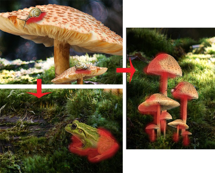 PS合成经典梦幻森林中的魔法小公主