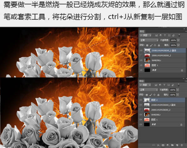 Photoshop合成制作烈焰中燃烧的火玫瑰效果