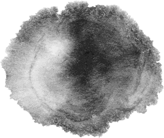 Photoshop设计制作喜庆华丽的羊年贺卡