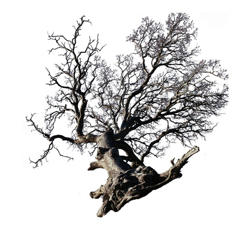 PS�ϳ�ͯ��ɫ�ʵķ���ħ�������ʦ