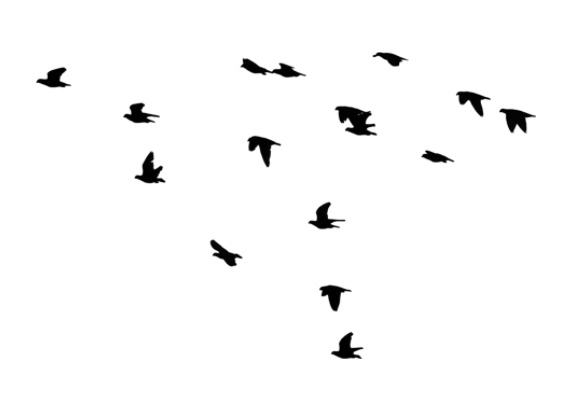 PS�ϳ�ͯ��ɫ�ʵķ���ħ�������ʦ