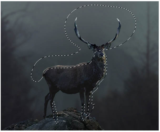 PS�ϳɺڰ�ɭ���еĻ���¹��