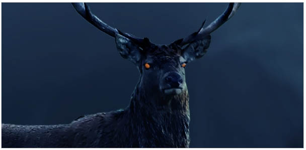 PS�ϳɺڰ�ɭ���еĻ���¹��