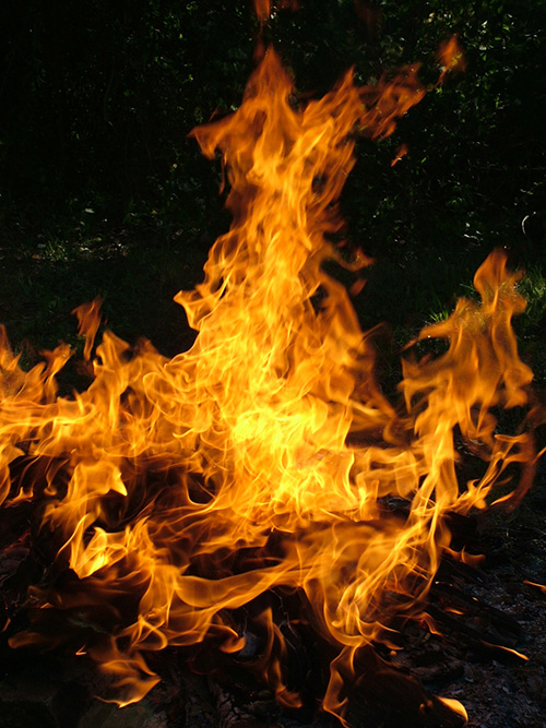 PS�ϳɺڰ�ɭ���еĻ���¹��