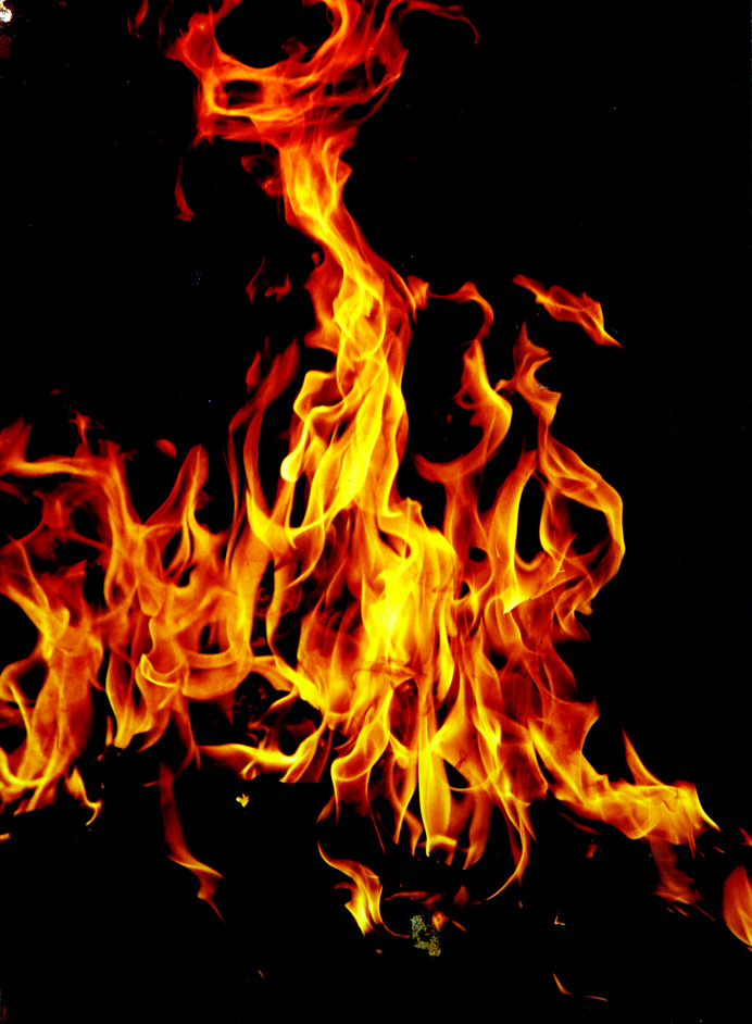 PS�ϳɺڰ�ɭ���еĻ���¹��