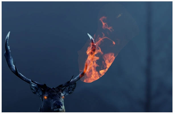 PS�ϳɺڰ�ɭ���еĻ���¹��