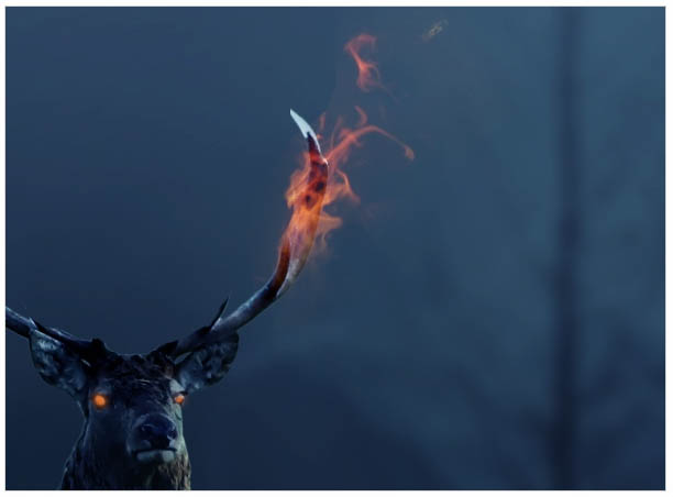 PS�ϳɺڰ�ɭ���еĻ���¹��