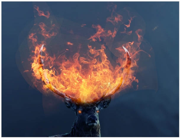 PS�ϳɺڰ�ɭ���еĻ���¹��