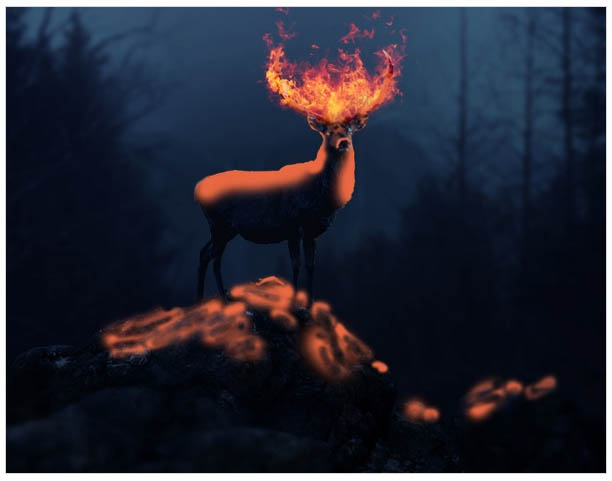 PS�ϳɺڰ�ɭ���еĻ���¹��