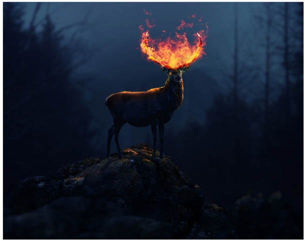 PS�ϳɺڰ�ɭ���еĻ���¹��