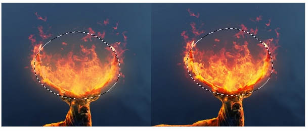 PS�ϳɺڰ�ɭ���еĻ���¹��