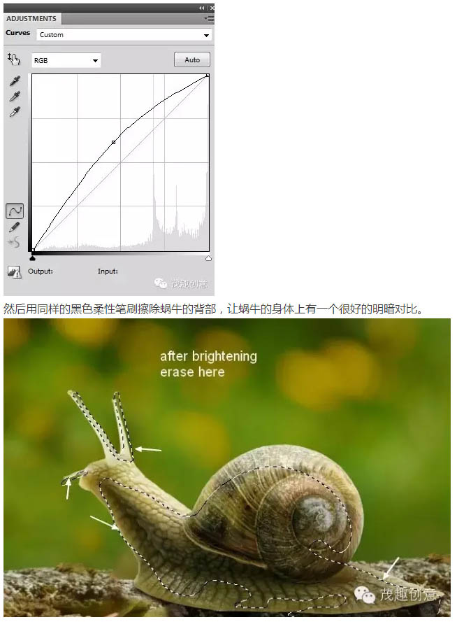 PS合成童话中坐在蜗牛上的小花仙子