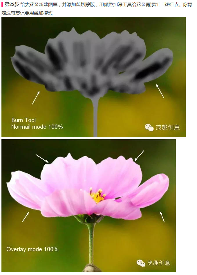 PS合成童话中坐在蜗牛上的小花仙子