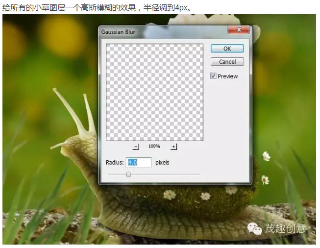PS合成童话中坐在蜗牛上的小花仙子