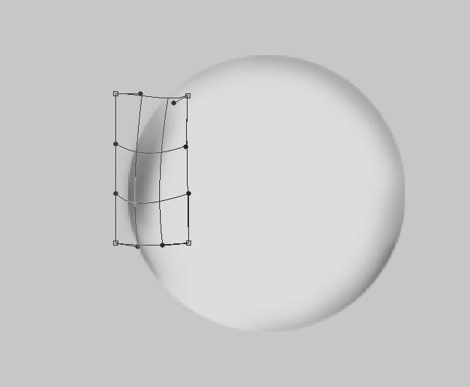 PhotoshopһƯgif̬͸