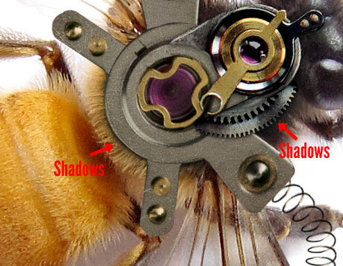 PS合成一只简单的机器蜜蜂