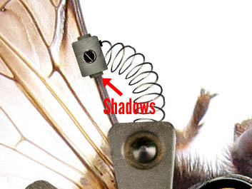 PS合成一只简单的机器蜜蜂