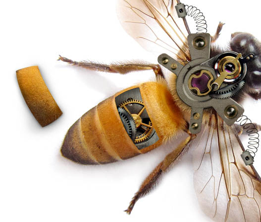 PS合成一只简单的机器蜜蜂