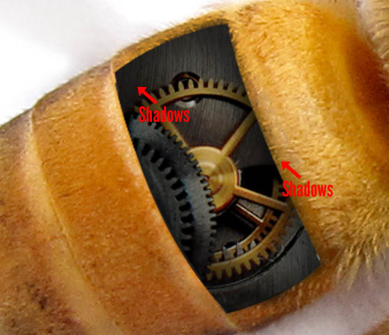 PS合成一只简单的机器蜜蜂