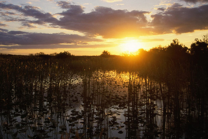 Photoshop将芦苇边的情侣加上唯美的晨曦