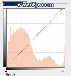 Photoshop调制出唯美的暗调霞光树林人物