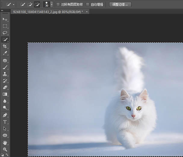 PS利用快速蒙版及调整边缘快速抠出雪地中的白猫