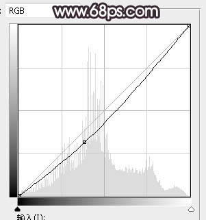 Photoshop将树林婚片打造甜美的逆光青红色