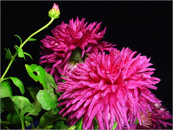 Photoshop设计制作漂亮的春季小清新化妆品海报