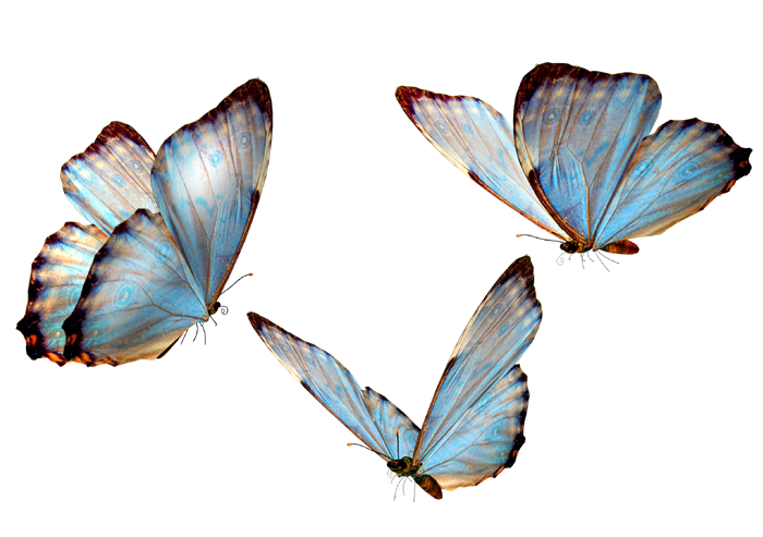 Photoshop设计制作漂亮的春季小清新化妆品海报