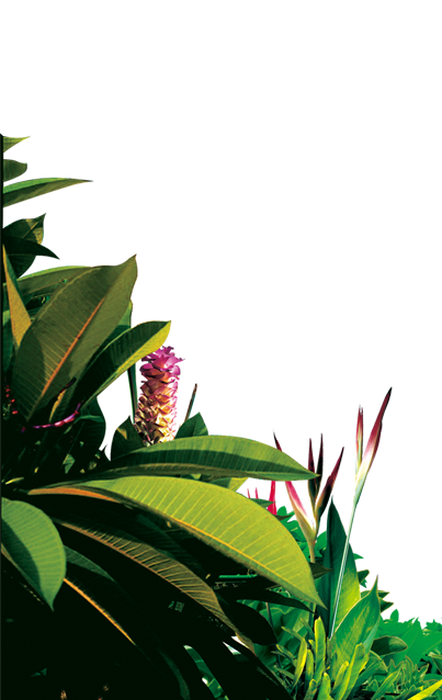 Photoshop设计制作漂亮的春季小清新化妆品海报