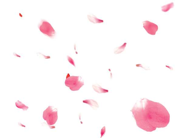 Photoshop设计制作漂亮的春季小清新化妆品海报