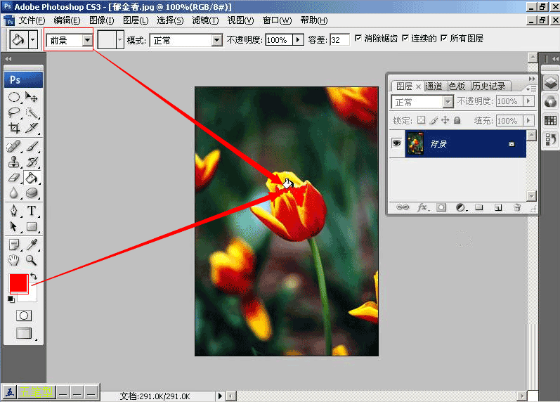 photoshop油漆工具选择颜色并对图案填充