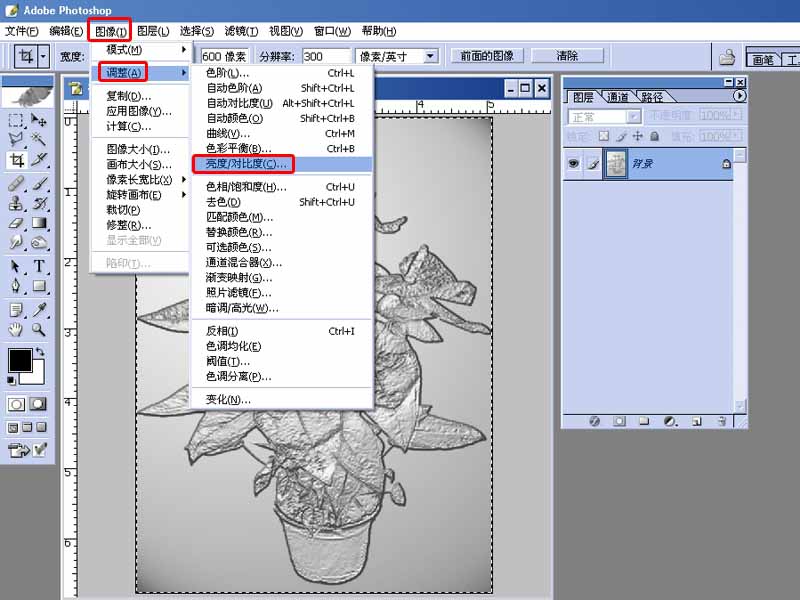 PS将普通照片制作有质感的金属画