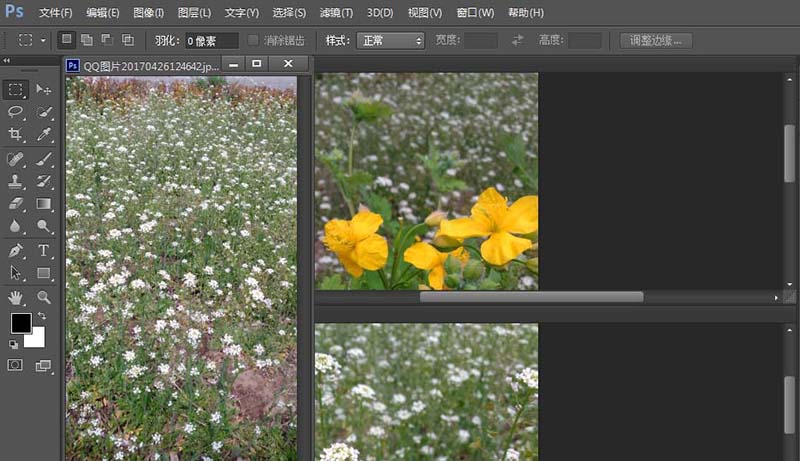 ps cs6怎么分栏查看照片?