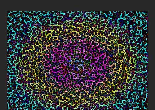 ps怎么绘制变化多彩的烟花效果?