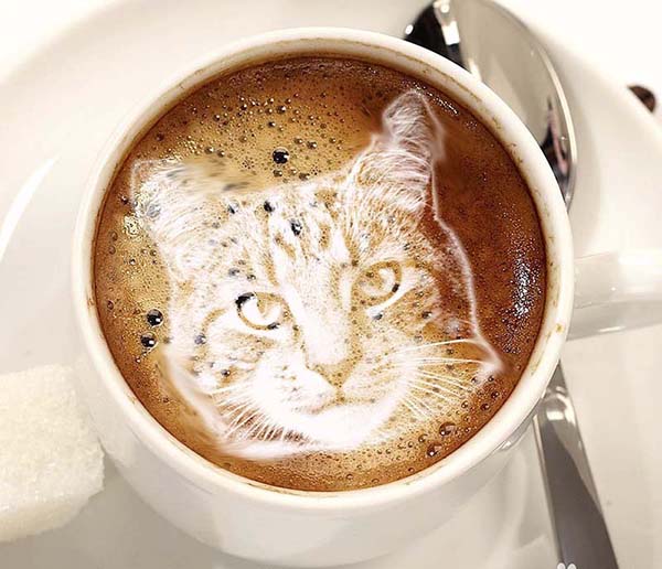 ps怎么给拿铁咖啡合成猫咪头像效果?