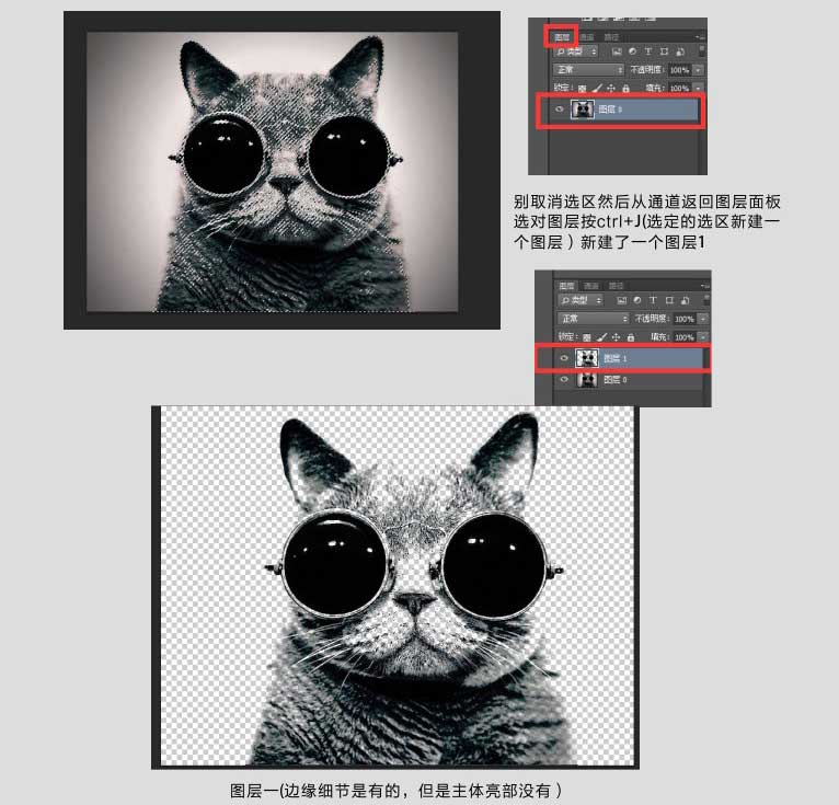 ps巧用通道抠图完美抠出一张戴着眼镜的猫咪图片教程