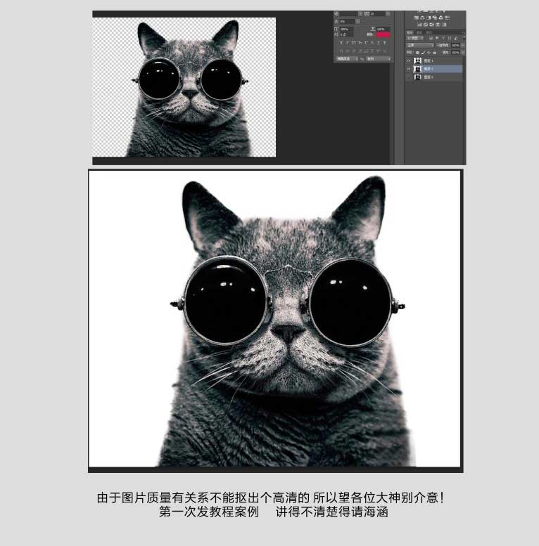 ps巧用通道抠图完美抠出一张戴着眼镜的猫咪图片教程