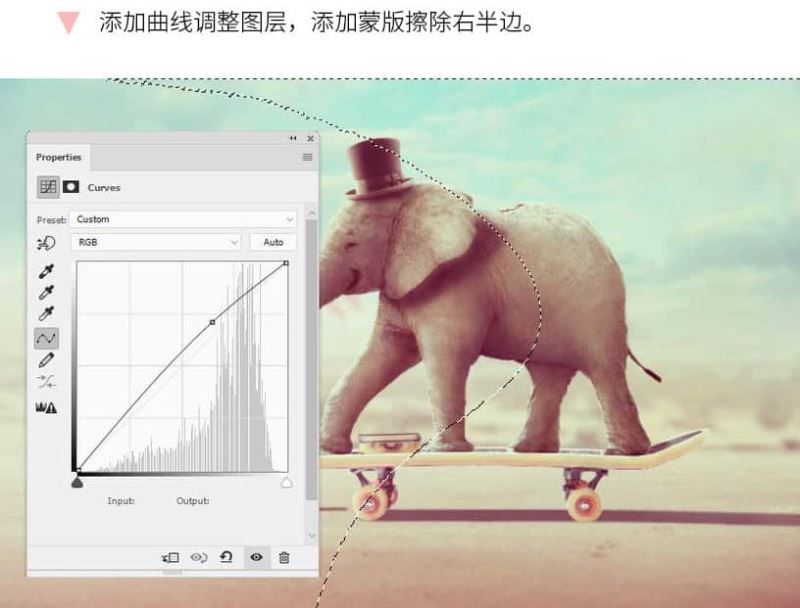 ps怎样合成一张马戏团大象和老鼠滑板表演的图片?