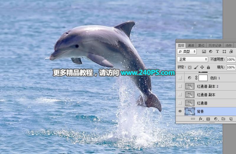 ps完美抠图快速抠出跃出水面的海豚图片教程