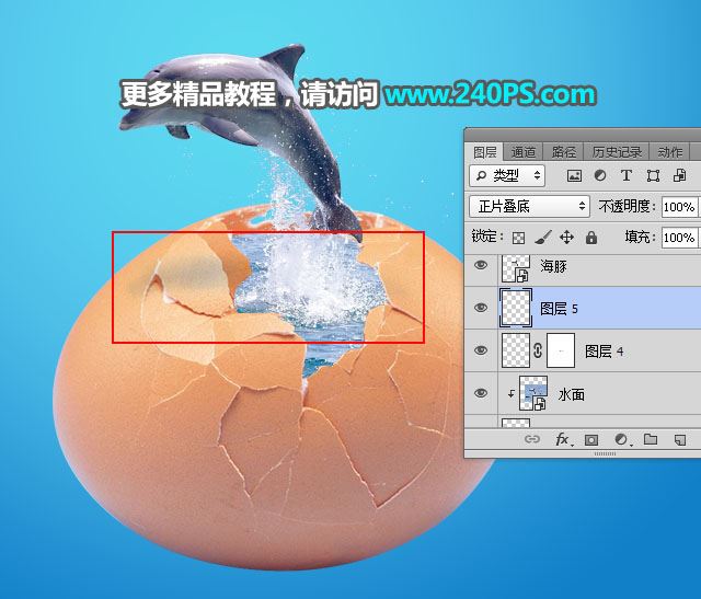 ps创意合成从鸡蛋中跃出的海豚图片教程