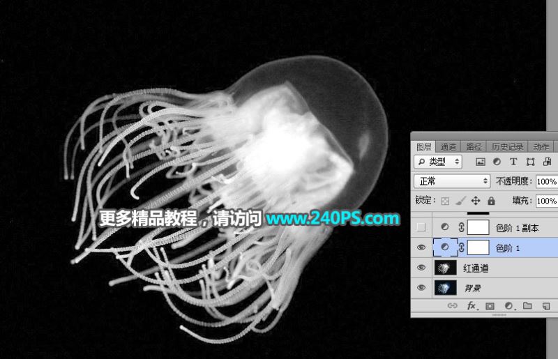 ps利用通道工具快速抠出透明的水母图片教程