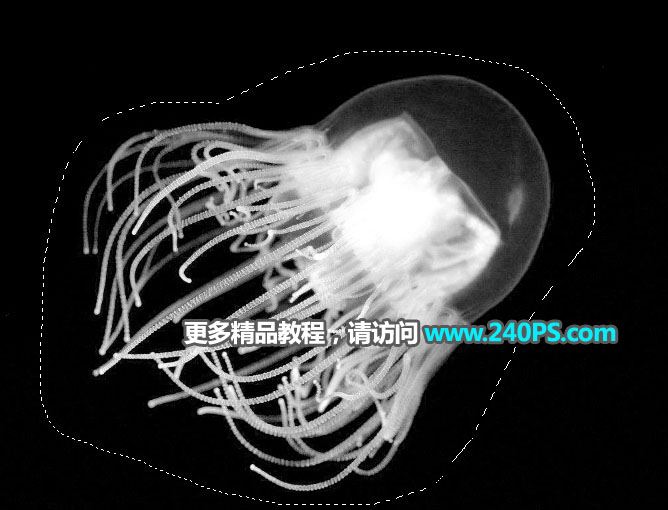 ps利用通道工具快速抠出透明的水母图片教程