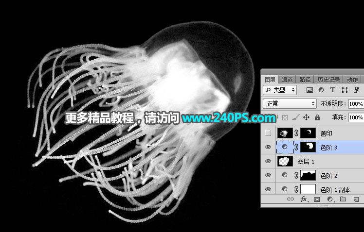 ps利用通道工具快速抠出透明的水母图片教程