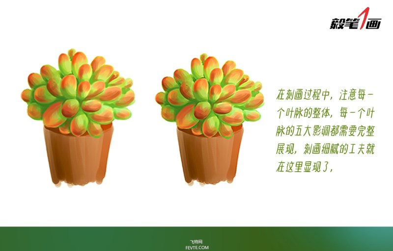 PS鼠绘小清新多肉植物插画教程