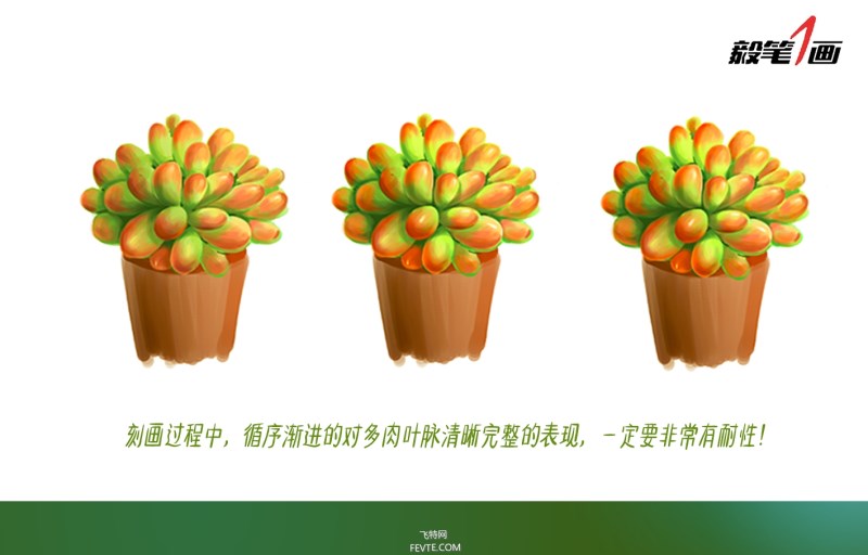 PS鼠绘小清新多肉植物插画教程